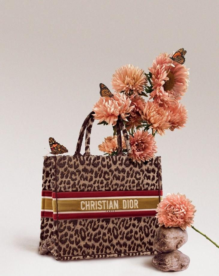 Túi xách Dior Book Tote