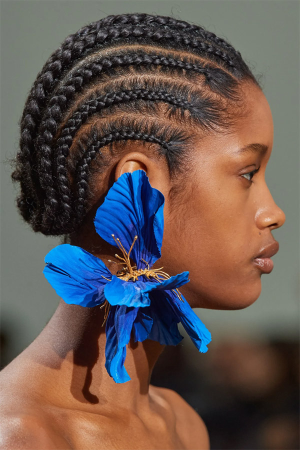 Schiaparelli