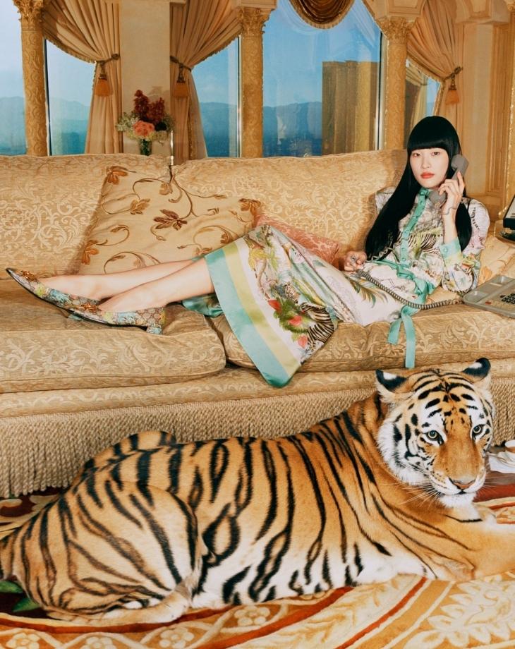 Hổ dạo chơi trong ngôi nhà Gucci