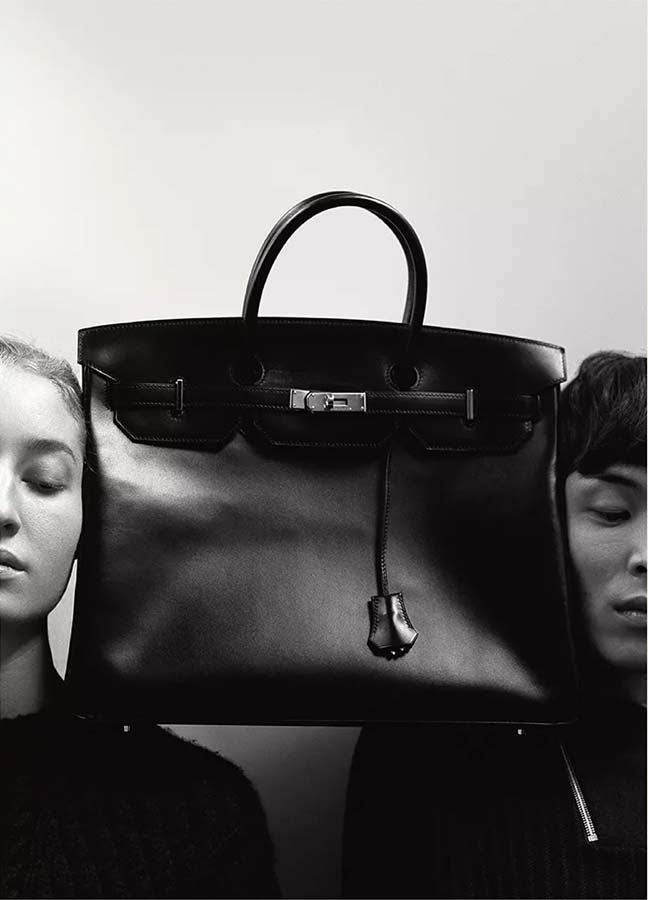 Túi Birkin, Hermes